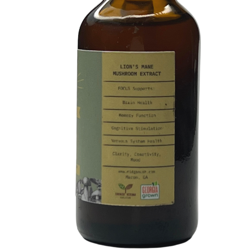 FOCUS | Lion's Mane Extract [1 OZ]